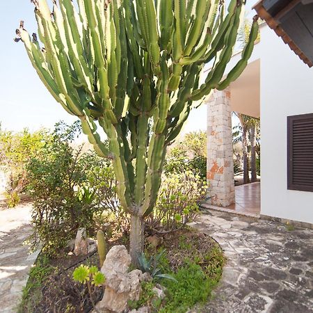 Villa Rose Marina di Mancaversa Exterior photo